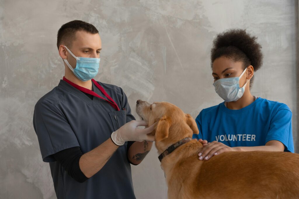 Dog at the vet. Photo by Mikhail Nilov